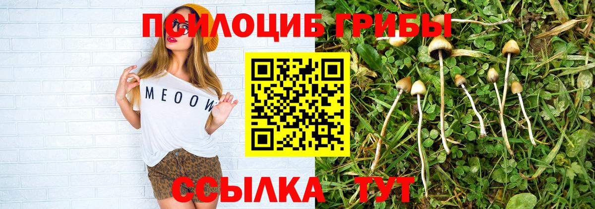 Псилоцибиновые грибы мухоморы Апрелевка