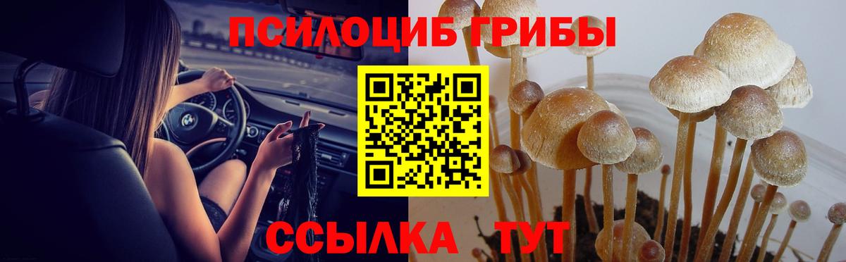 купить наркоту  Галлюциногенные грибы MAGIC MUSHROOMS  Вход с VPN  Апрелевка 